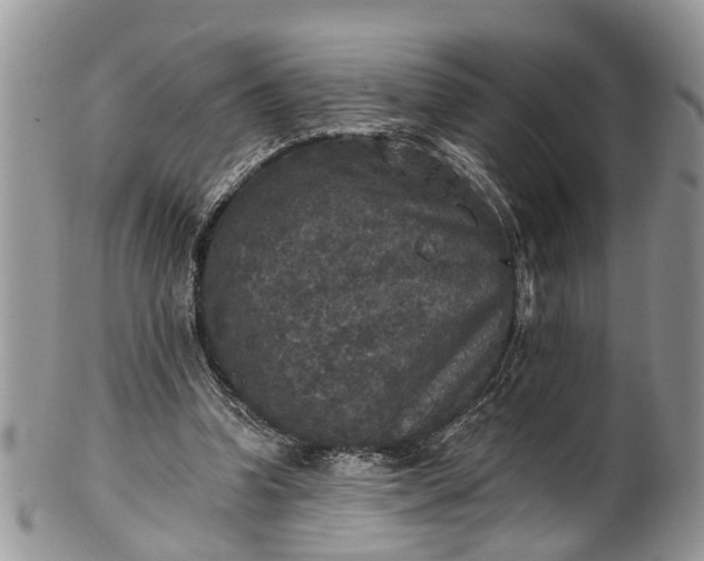 X0000101970346200808011136
