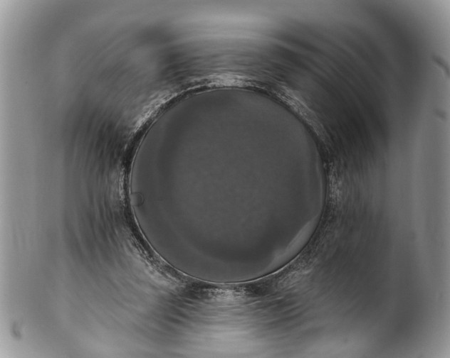 X0000101970347200808011136