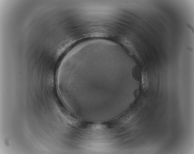 X0000101970348200808011136