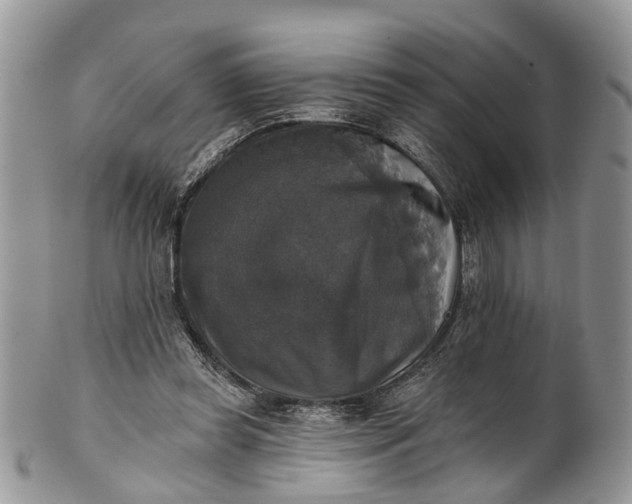 X0000101970349200808011136