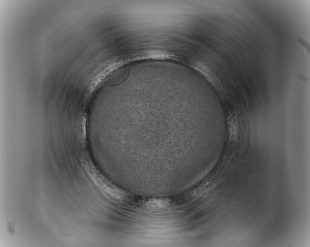 X0000101970350200808011136