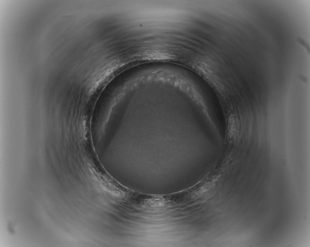 X0000101970351200808011136