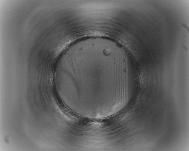X0000101970352200808011136