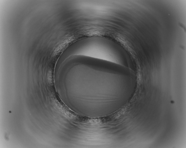 X0000101970353200808011136