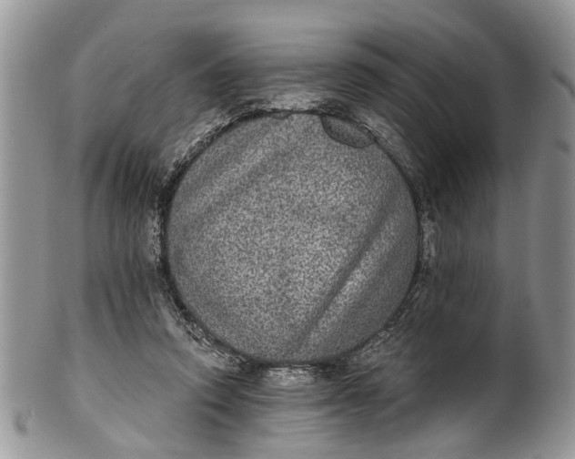 X0000101970354200808011136