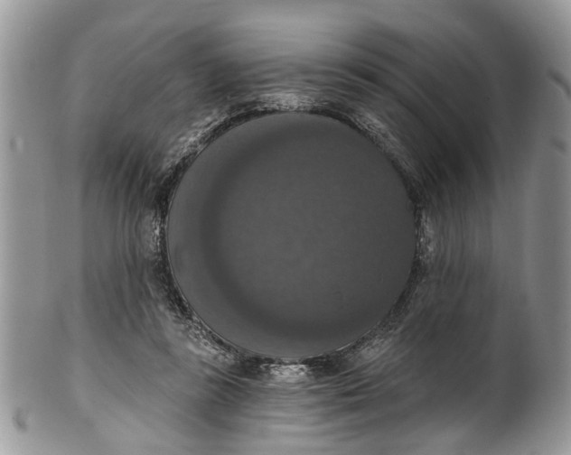 X0000101970355200808011136