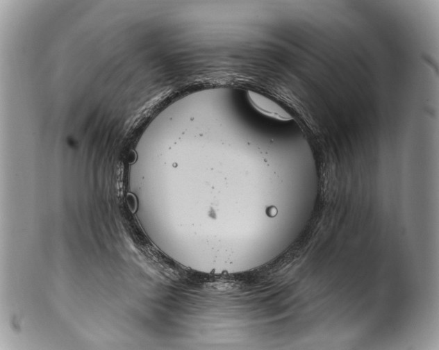 X0000101970356200808011136