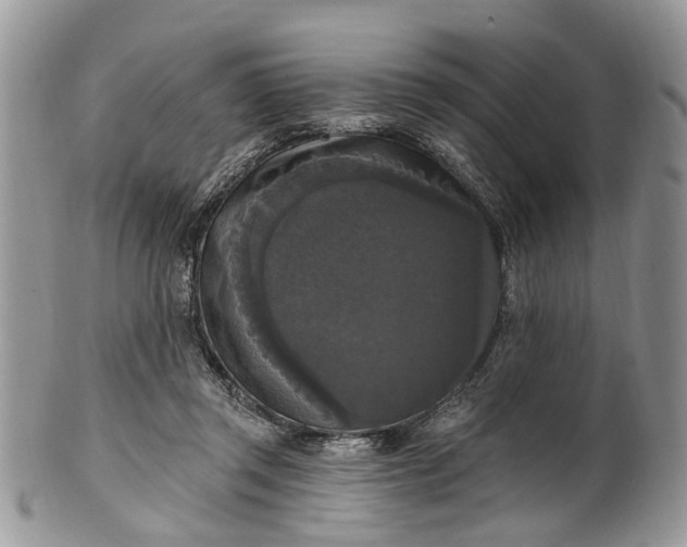X0000101970357200808011136