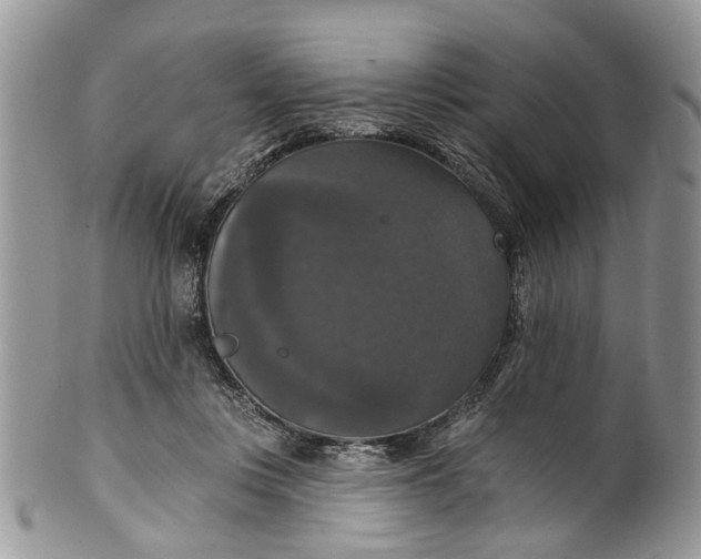 X0000101970359200808011136