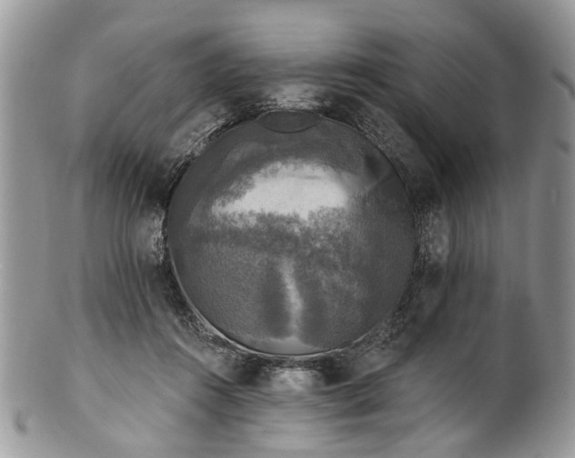 X0000101970360200808011136