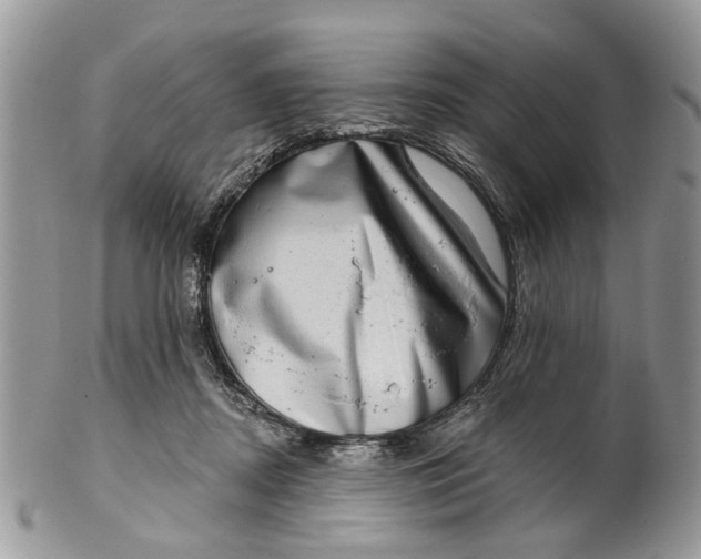 X0000101970362200808011136