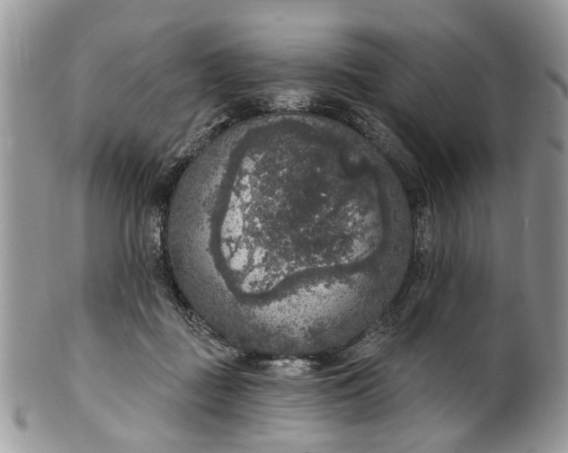 X0000101970363200808011136
