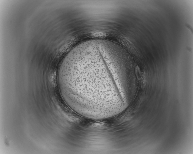 X0000101970364200808011136