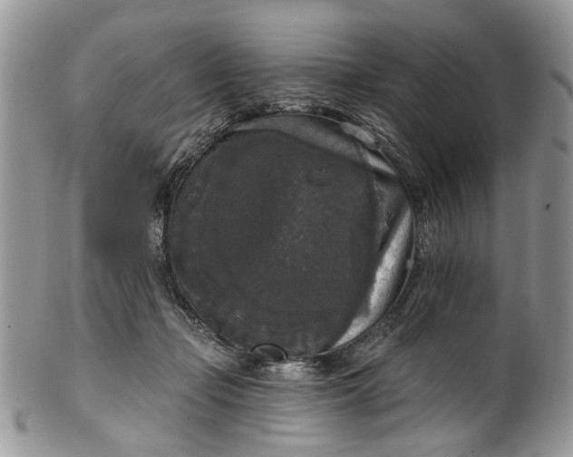 X0000101970365200808011136