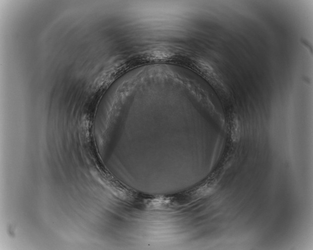 X0000101970366200808011136