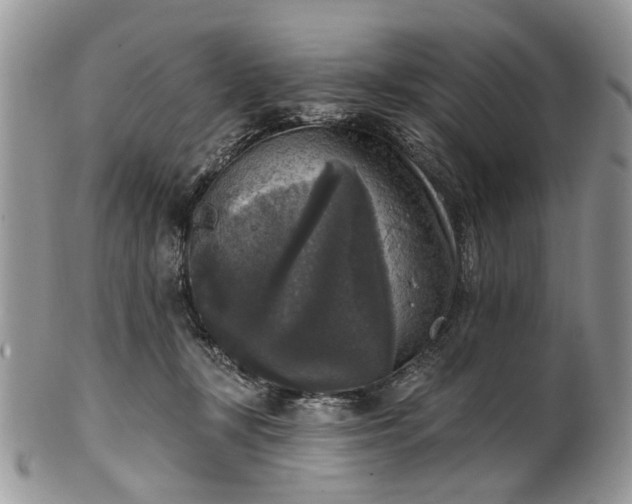 X0000101970367200808011136