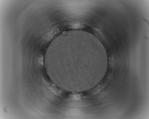X0000101970368200808011136