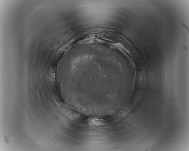 X0000101970372200808011136
