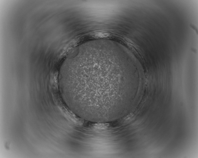 X0000101970373200808011136