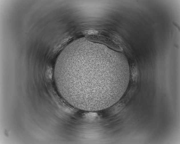 X0000101970374200808011136