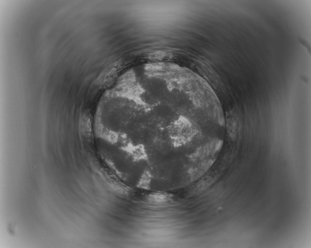 X0000101970375200808011136