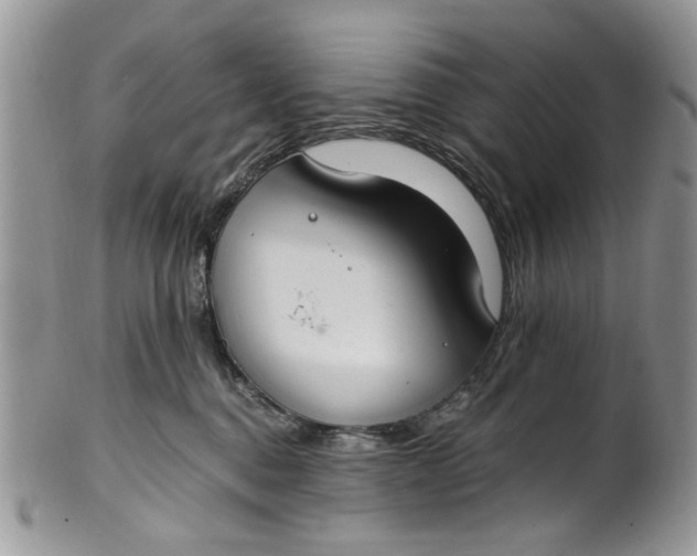 X0000101970376200808011136