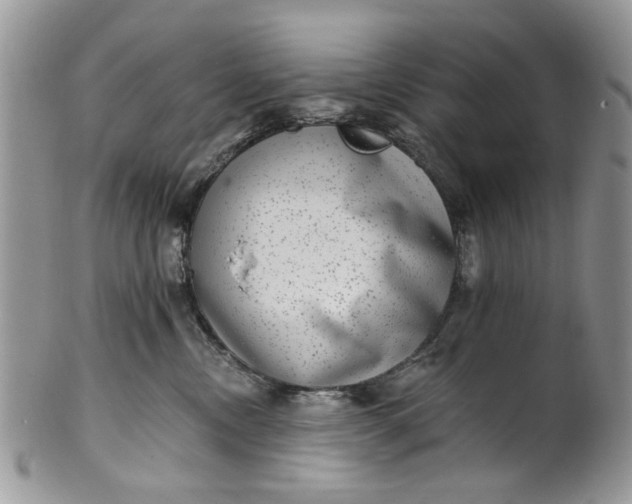 X0000101970378200808011136