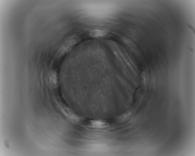 X0000101970380200808011136