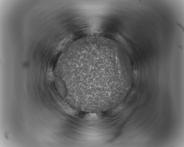 X0000101970381200808011136