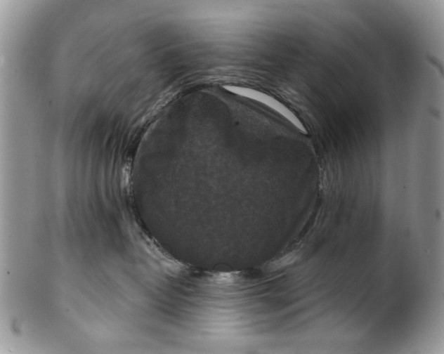 X0000101970382200808011136