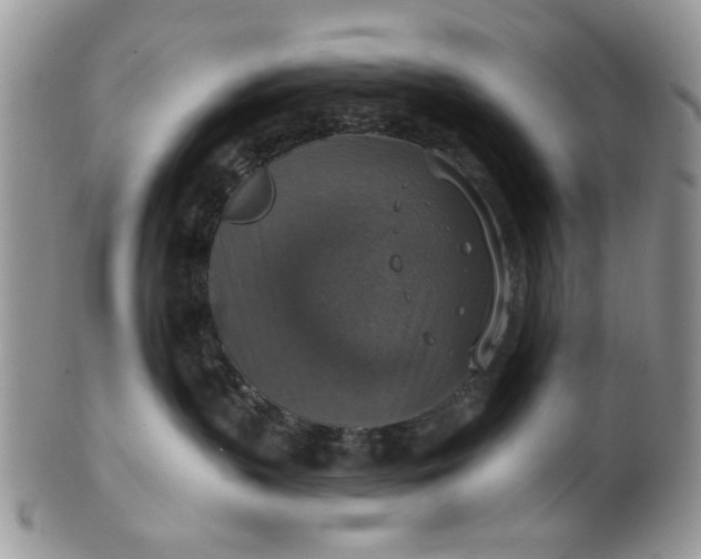 X0000101970383200808011136