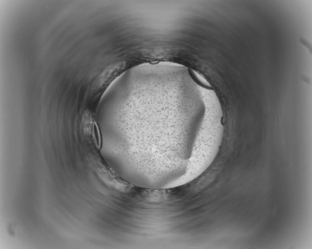 X0000101970384200808011136