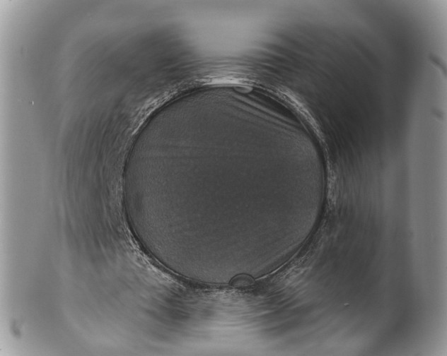 X0000101970385200808011135