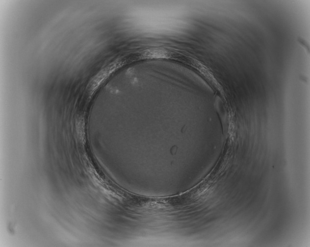 X0000101970386200808011135