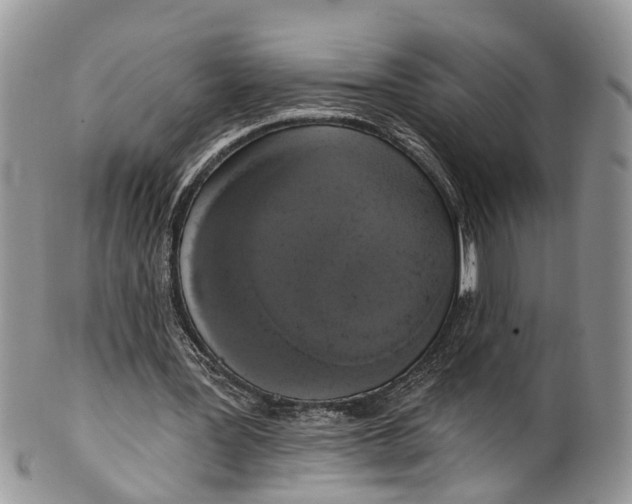 X0000101970387200808011135