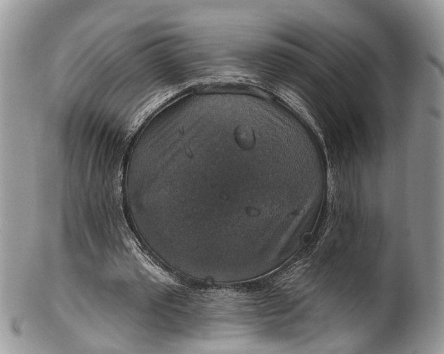 X0000101970389200808011135