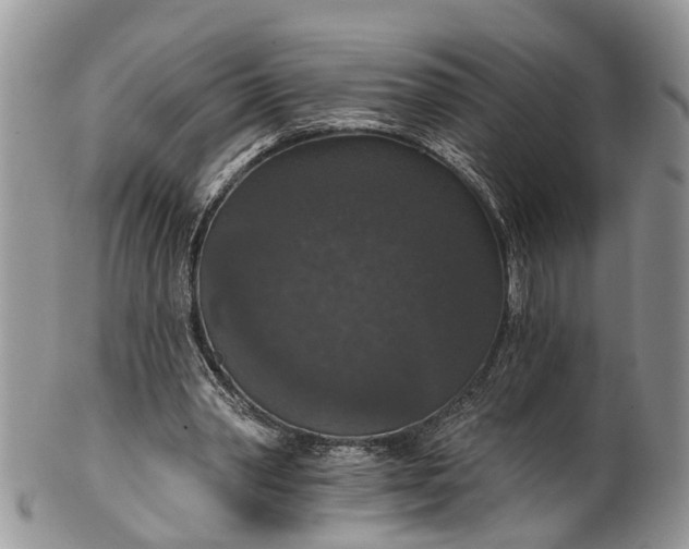 X0000101970390200808011135