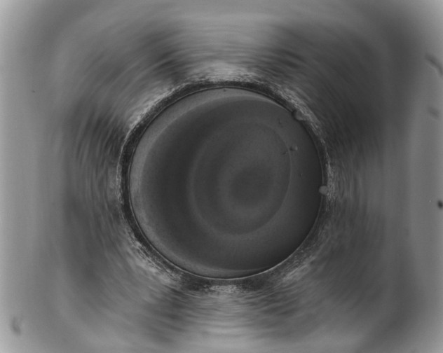X0000101970391200808011135