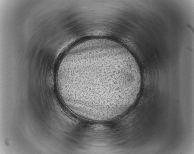 X0000101970392200808011135