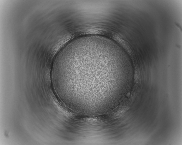 X0000101970394200808011135