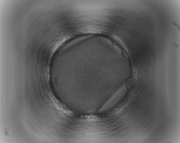 X0000101970395200808011135