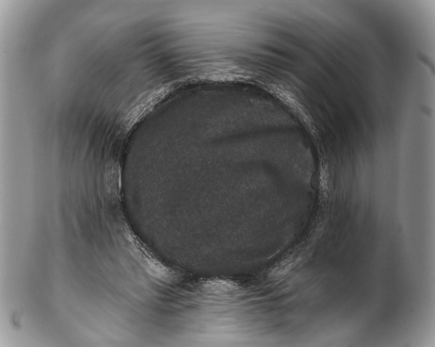 X0000101970397200808011135