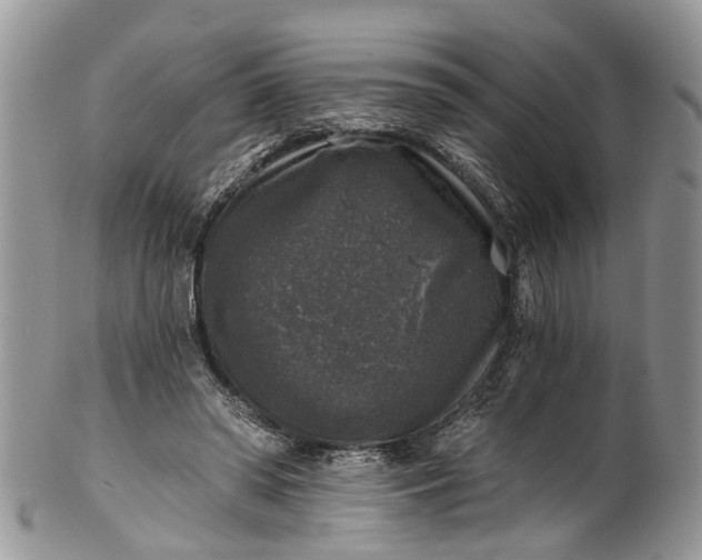 X0000101970398200808011135