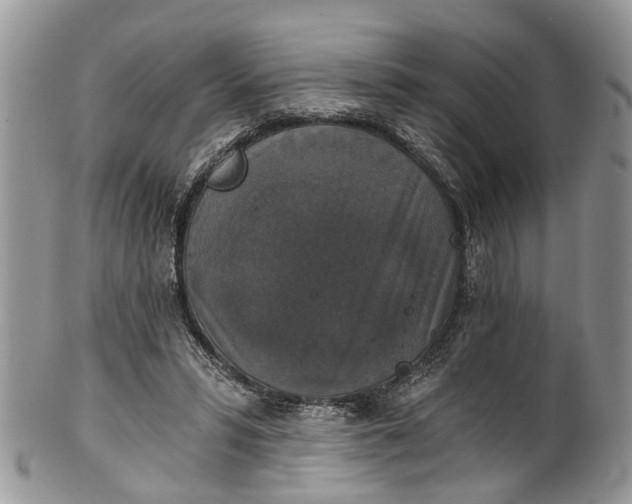 X0000101970399200808011135