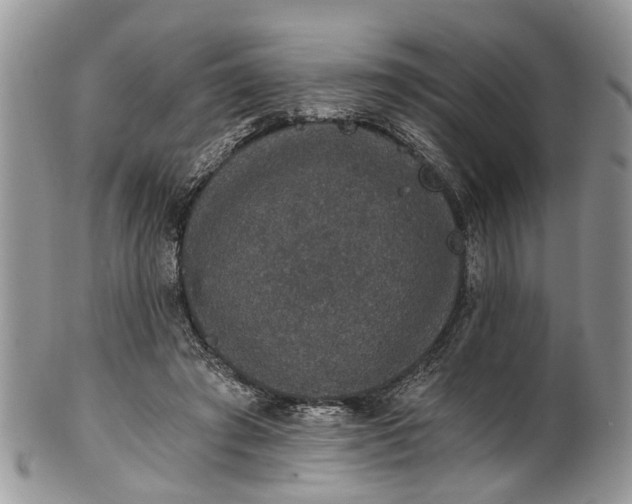 X0000101970401200808011135