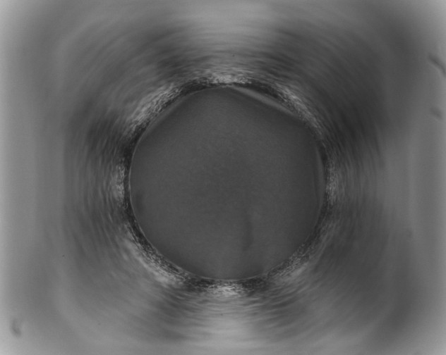 X0000101970402200808011135