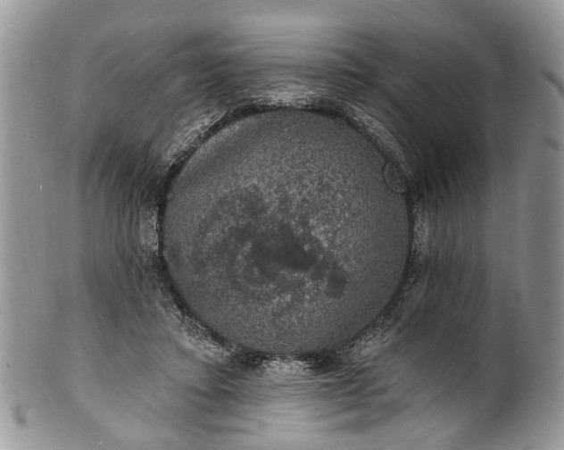 X0000101970403200808011135
