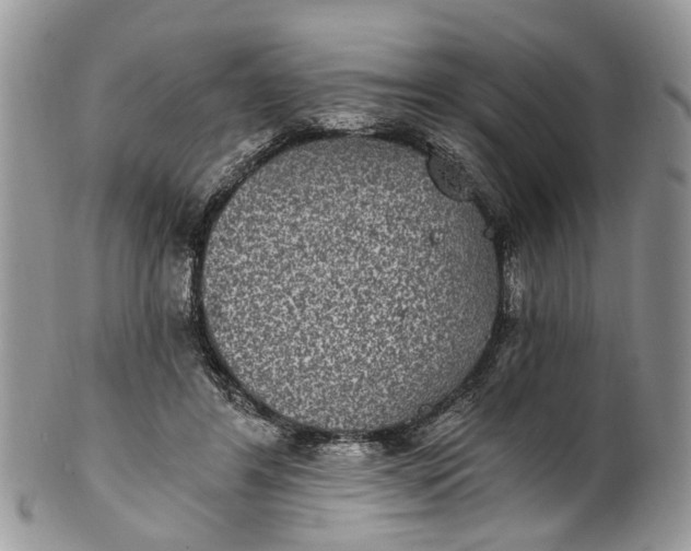 X0000101970404200808011135