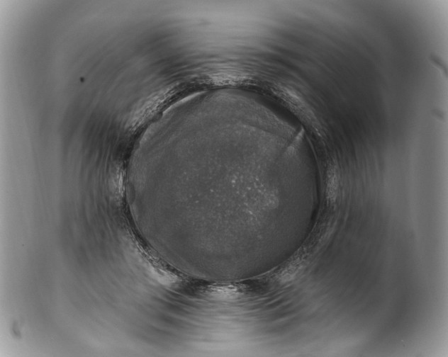 X0000101970405200808011135