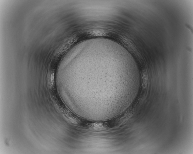 X0000101970406200808011135
